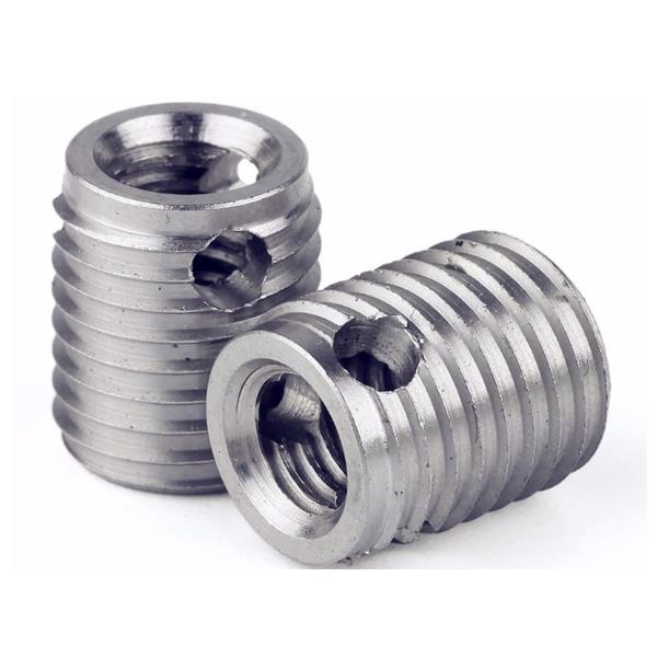 Self Tapping Inserts With Cutting Bores1